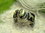 Ring-Hund in 925/Silber mit einem Labradoit , Motiv Gordon Setter