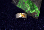 Ring in 925/Silber und 585/Gold , Motiv Tölter
