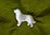 Pin-Hund in 925/Silber , Motiv Berner Sennenhund