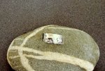 Tierschmuck-Ring in 925/Silber , Pferd mit Hund